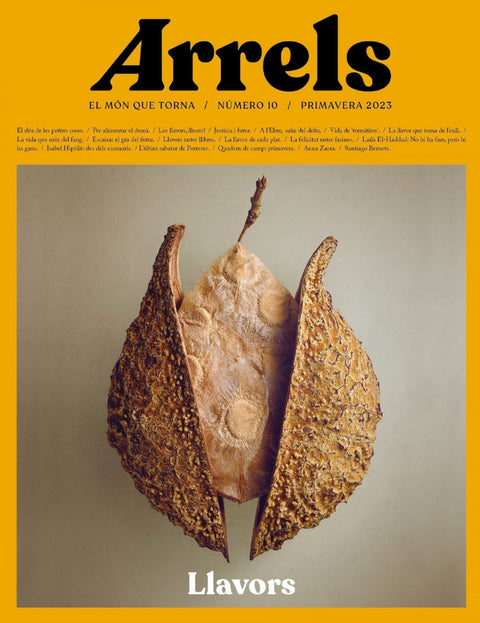  ARRELS #10 