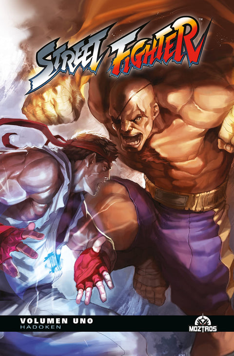  STREET FIGHTER 01 