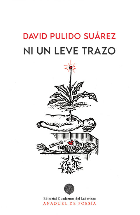  Ni un leve trazo 