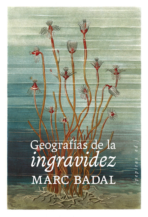  Geografías de la ingravidez 