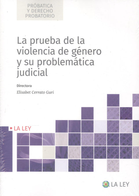  La prueba de la violencia de género y su problemática judicial 
