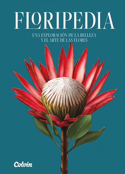  Floripedia 