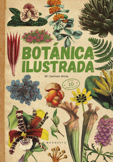  BOTÁNICA ILUSTRADA 