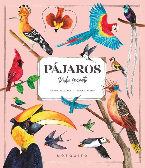  Pájaros. Vida secreta 