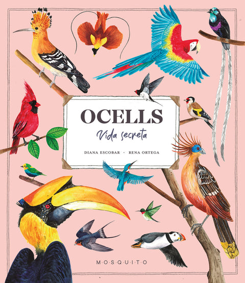  Ocells. Vida Secreta 