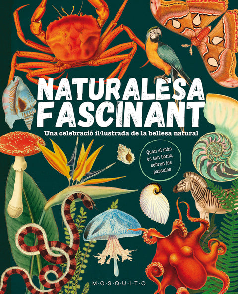  Naturalesa fascinant 