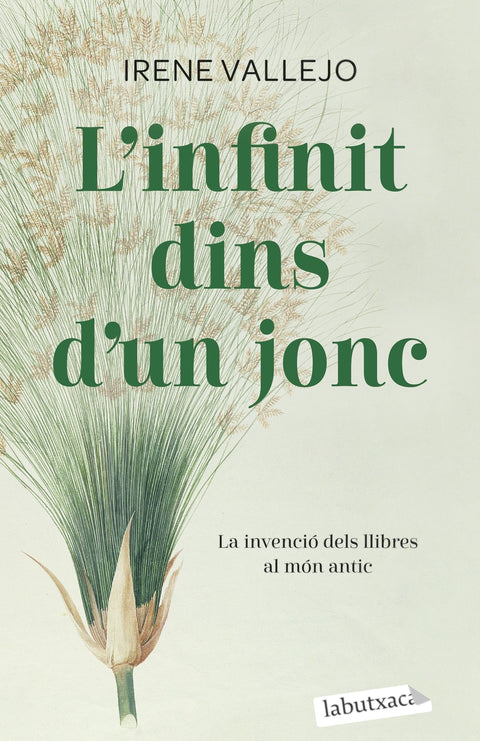  L'infinit dins d'un jonc 