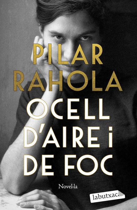  Ocell d'aire i de foc 