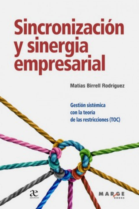  Sincronizacion y sinergia empresarial:gestion sistematica 