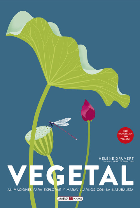  Vegetal 