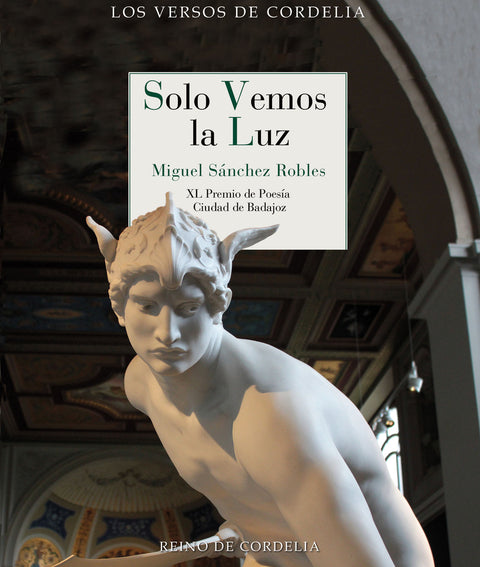  Solo vemos la luz 
