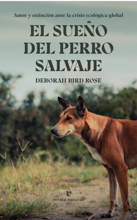  El sueño del perro salvaje 