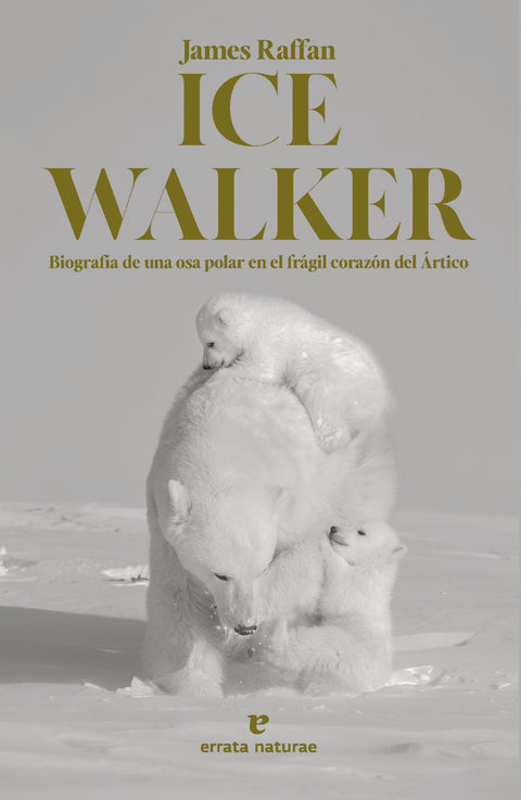  Ice Walker 