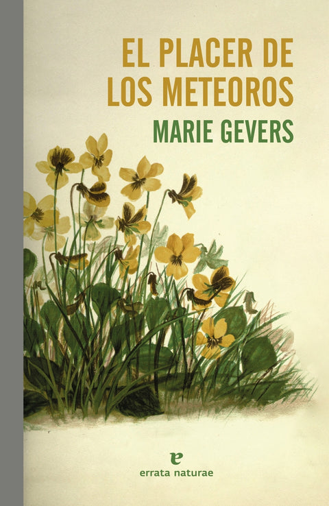  El placer de los meteoros 