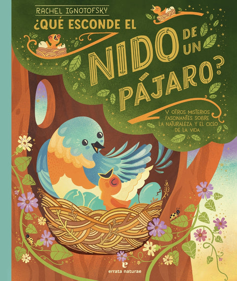  ¿Qué esconde el nido de un pájaro? 