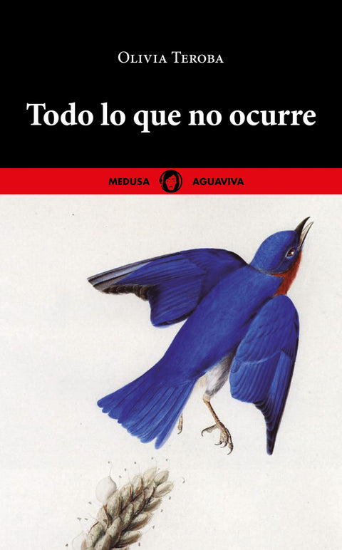  Todo lo que no ocurre 