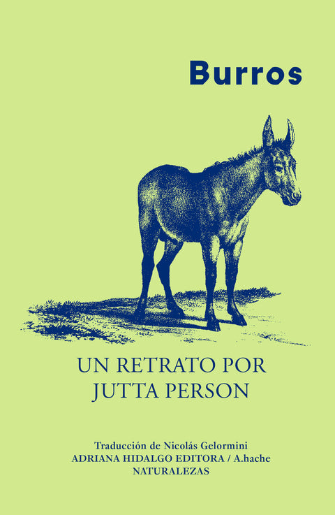  Burros 