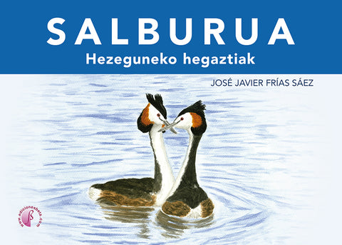  Salburua 