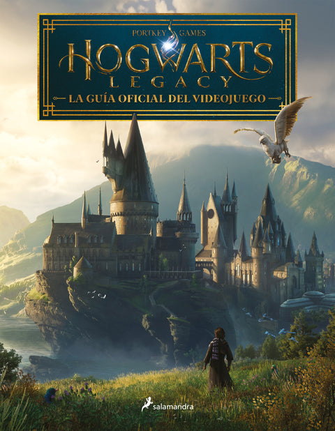  Hogwarts Legacy 