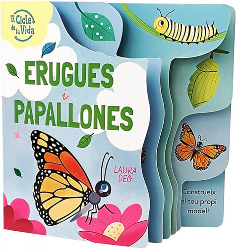  ERUGUES I PAPALLONES 