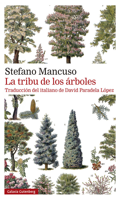  La tribu de los árboles 