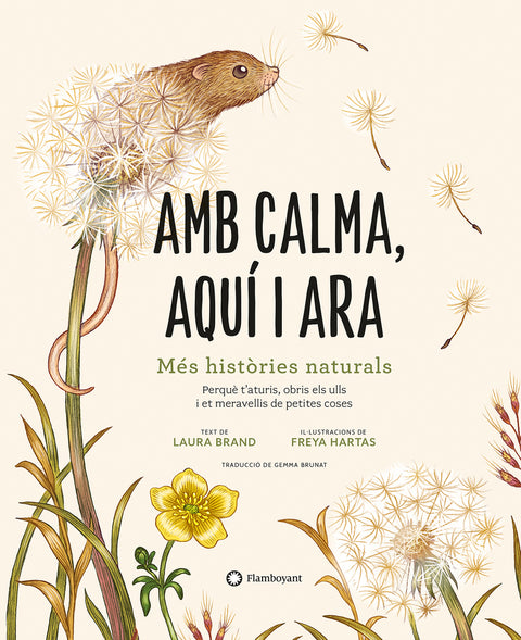  Amb calma, aquí i ara 