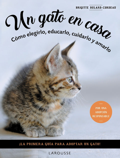  Un gato en casa 
