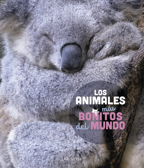  Los animales más bonitos del mundo 