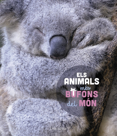  Els animals més bufons del món 