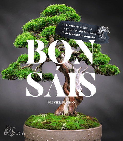 Bonsáis 