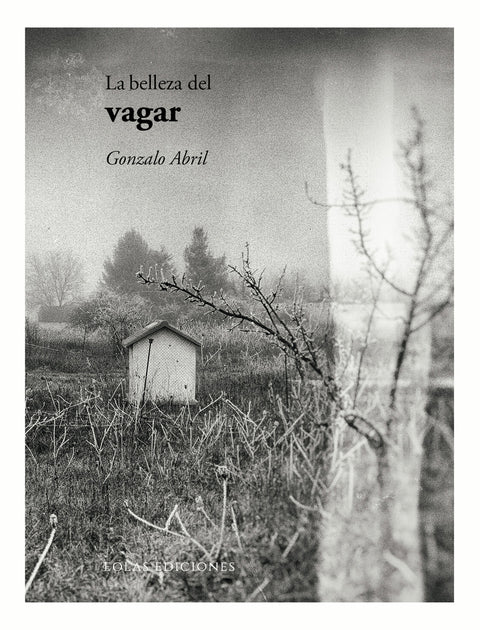  La belleza del vagar 