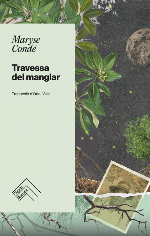  TRAVESSA DEL MANGLAR 