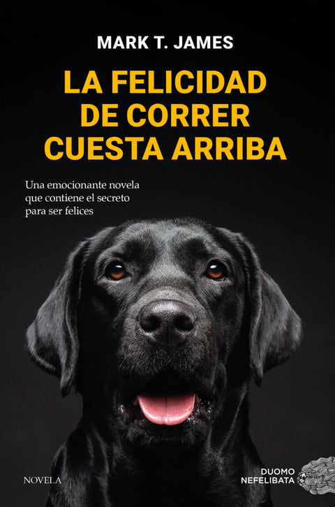  La felicidad de correr cuesta arriba 