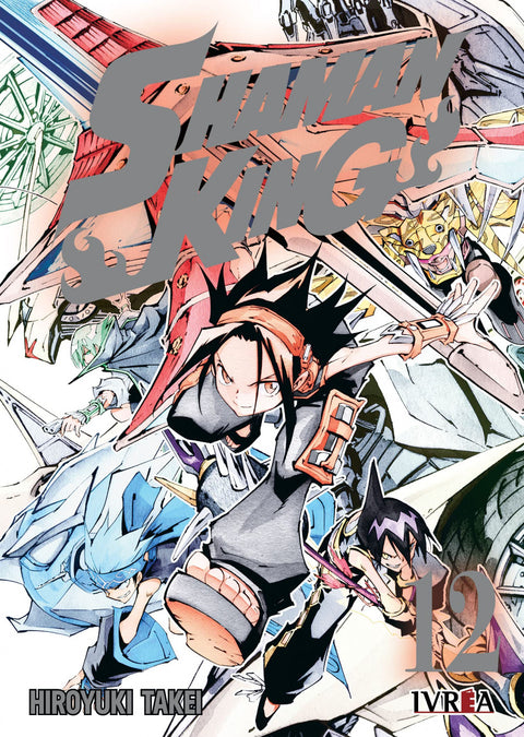  SHAMAN KING 12 