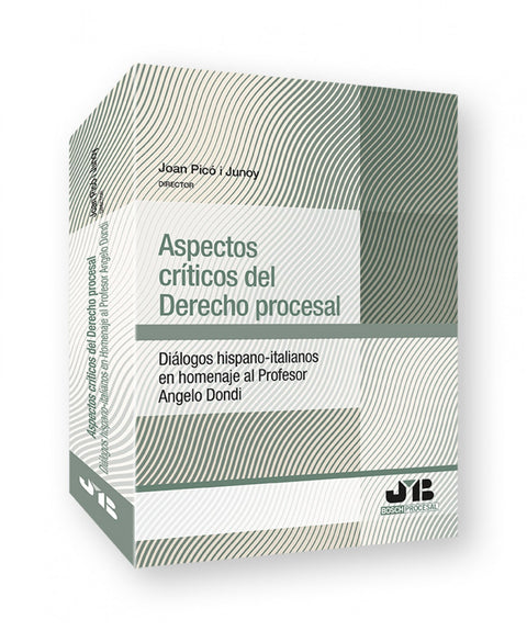  Aspectos críticos del Derecho procesal 