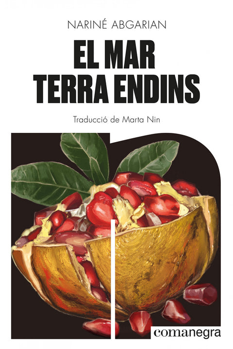  El mar terra endins 