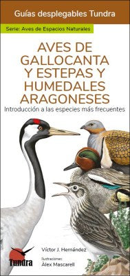  AVES DE GALLOCANTA Y ESTEPAS Y HUMEDALES ARAGONESES - GUIAS DESPLEGABLES TUNDRA 
