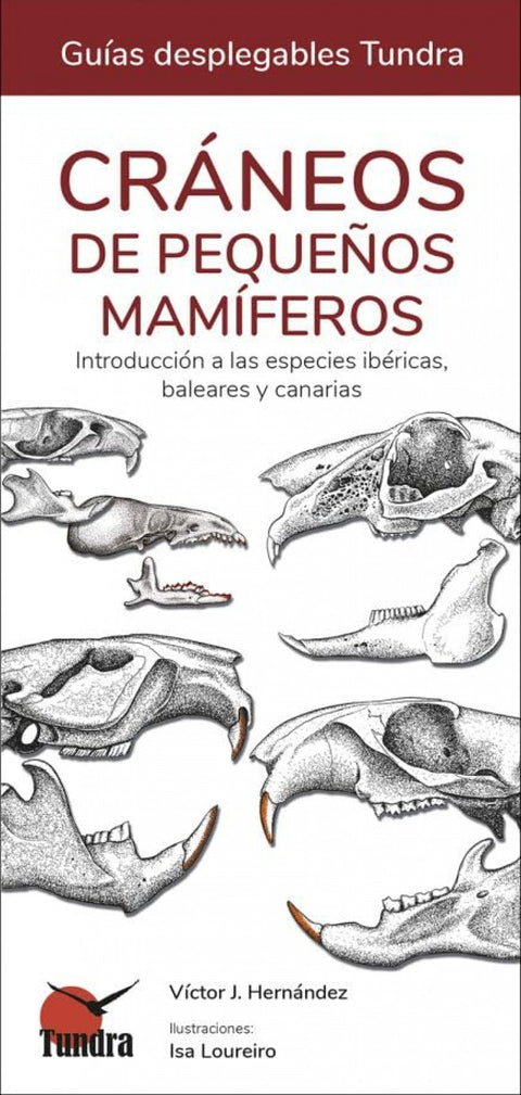  CRANEOS DE PEQUEÑOS MAMIFEROS - GUIAS DESPLEGABLES TUNDRA 