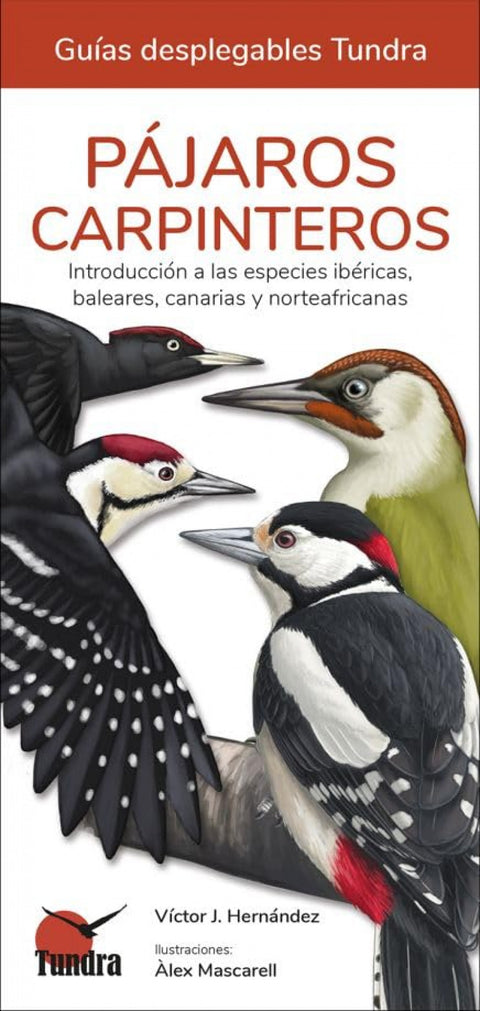  PAJAROS CARPINTEROS 