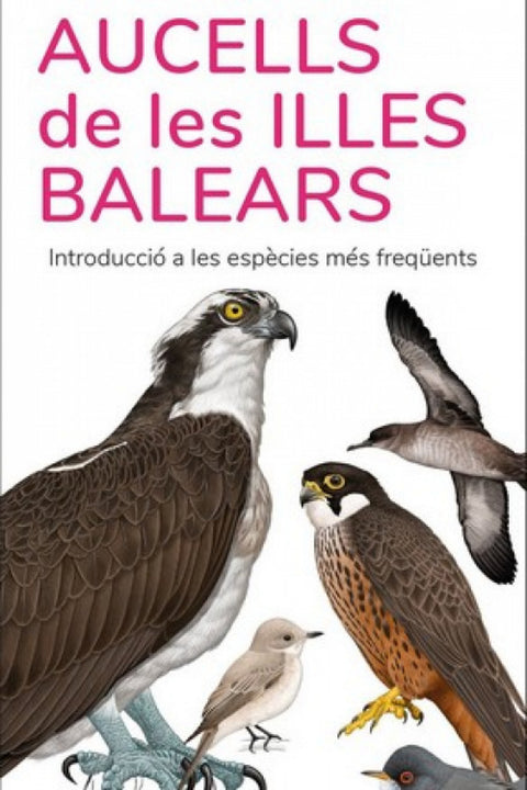  AUCELLS DE LES ISLES BALEARS 