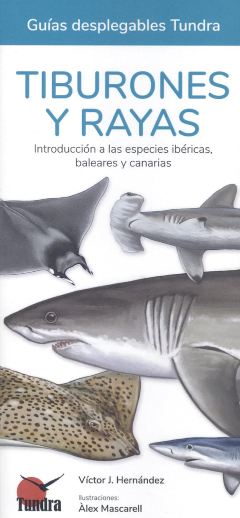 TIBURONES Y RAYAS - GUIAS DESPLEGABLES TUNDRA 