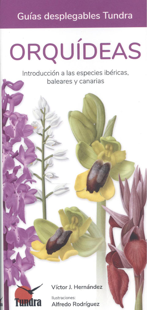  ORQUIDEAS INTRODUCCION A LAS ESPECIES IBERICAS BALEARES CAN 