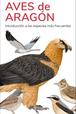  AVES DE ARAGON - GUIAS DESPLEGABLES TUNDRA 