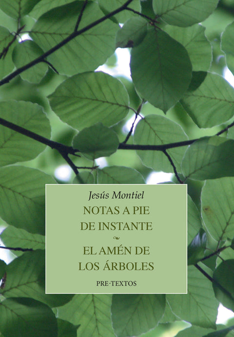  Notas a pie de instante / El amén de los árboles 