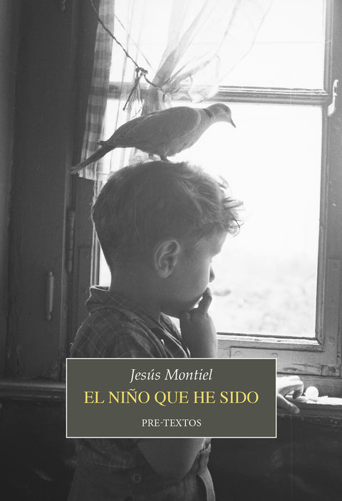  El niño que he sido 