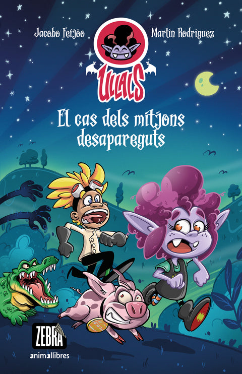  El cas dels mitjons desapareguts 