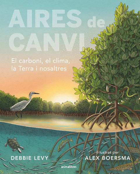  Aires de canvi 
