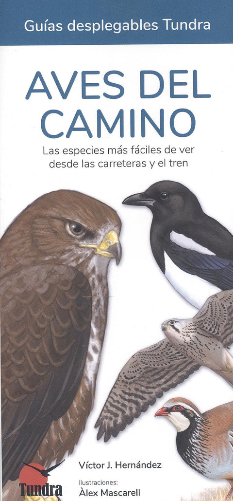  AVES DEL CAMINO 