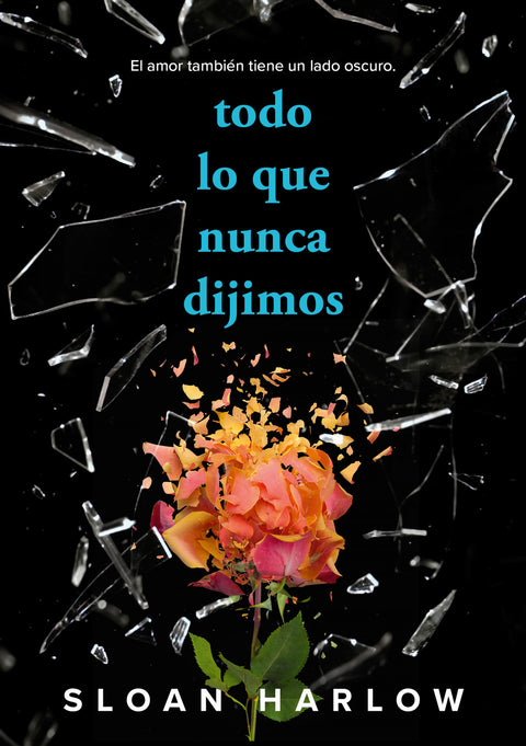  Todo lo que nunca dijimos 