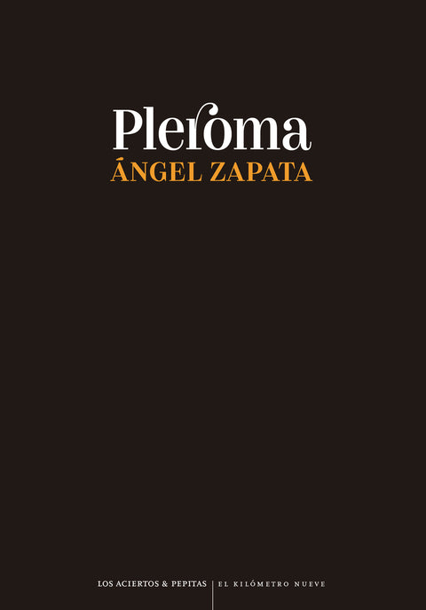  Pleroma 
